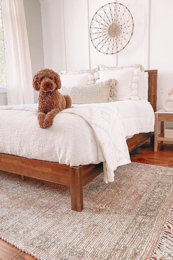 A cozy bedroom featuring boho textiles and a relaxed dog.