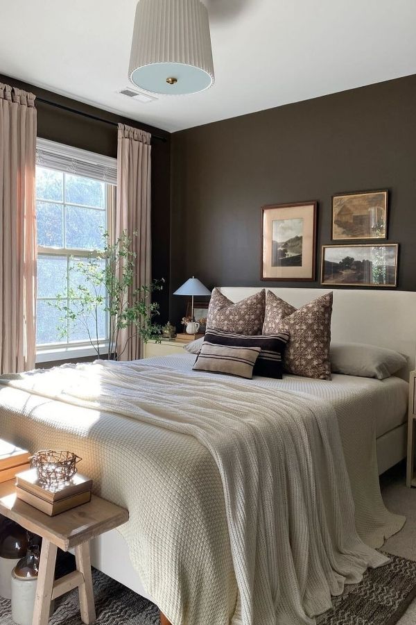 Sunlit bedroom featuring deep brown walls, cozy bed, and plants.