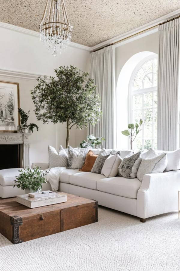 Rustic charm and lush green elegance in elegant living room ideas.