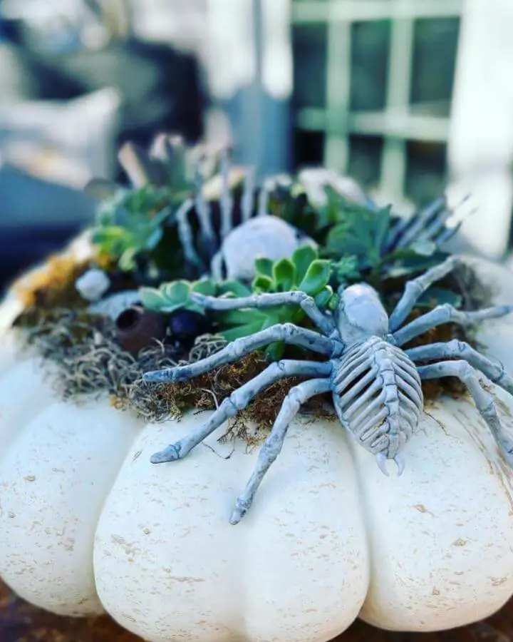 Carved white pumpkin planter from @containercrazyct featuring skeleton hands and green succulents as spooky decoration.