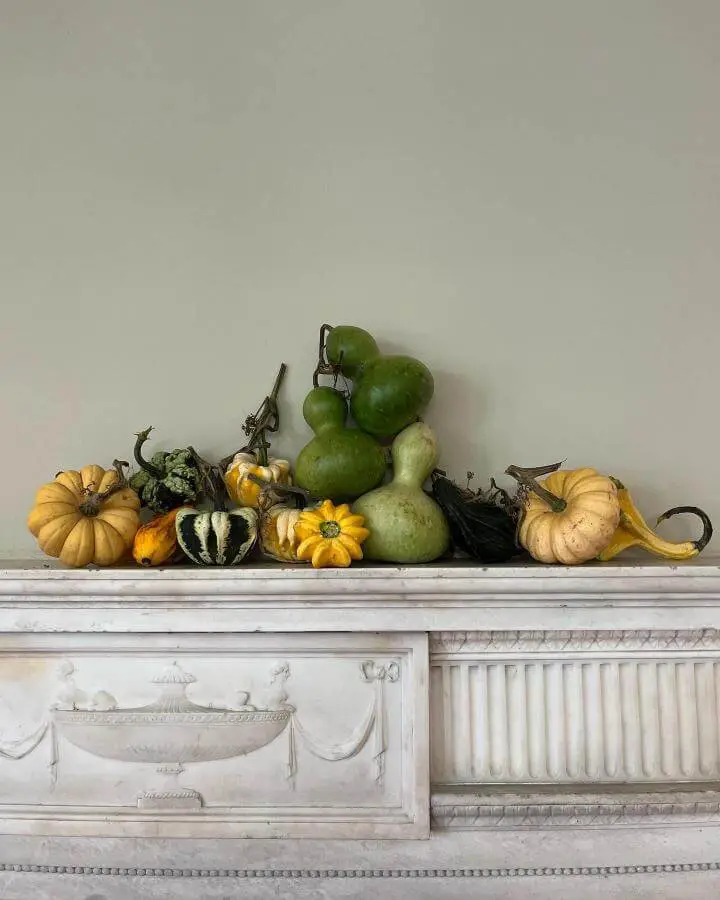 Colorful autumn gourd arrangement from @eleflora__ displayed on elegant white fireplace mantel with natural styling.