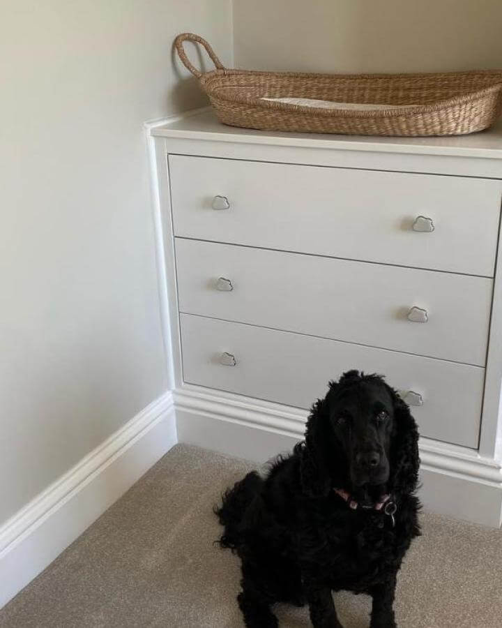 Simple white built-in drawers with cloud handles and a natural basket on top from @ashleelouisehome ikea koppang hacks with a black dog sitting nearby.