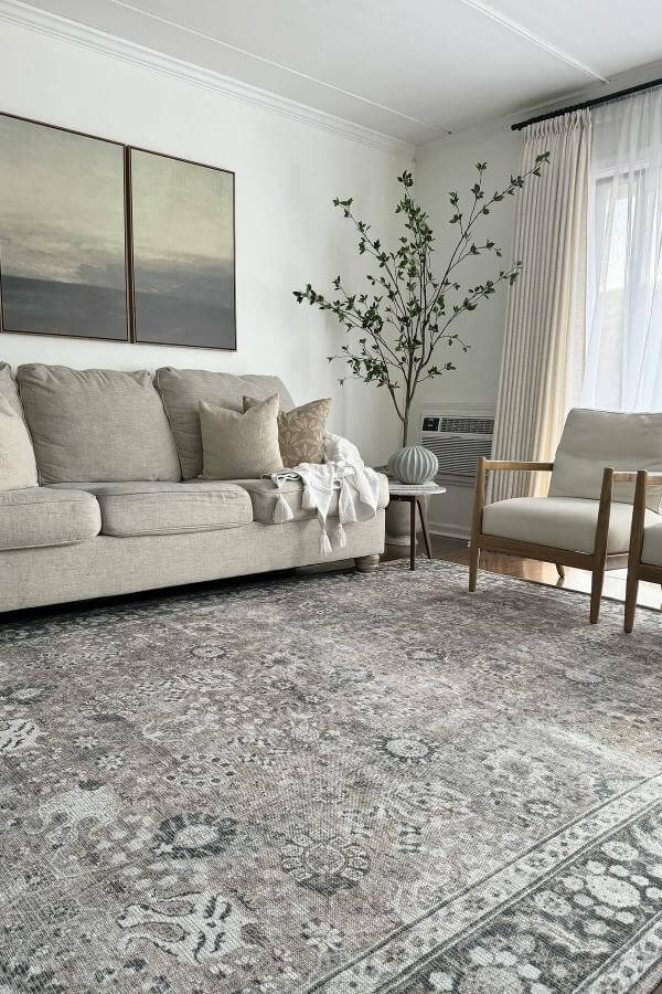 Organic patterns on rugs enhance neutral harmony in living room ideas.