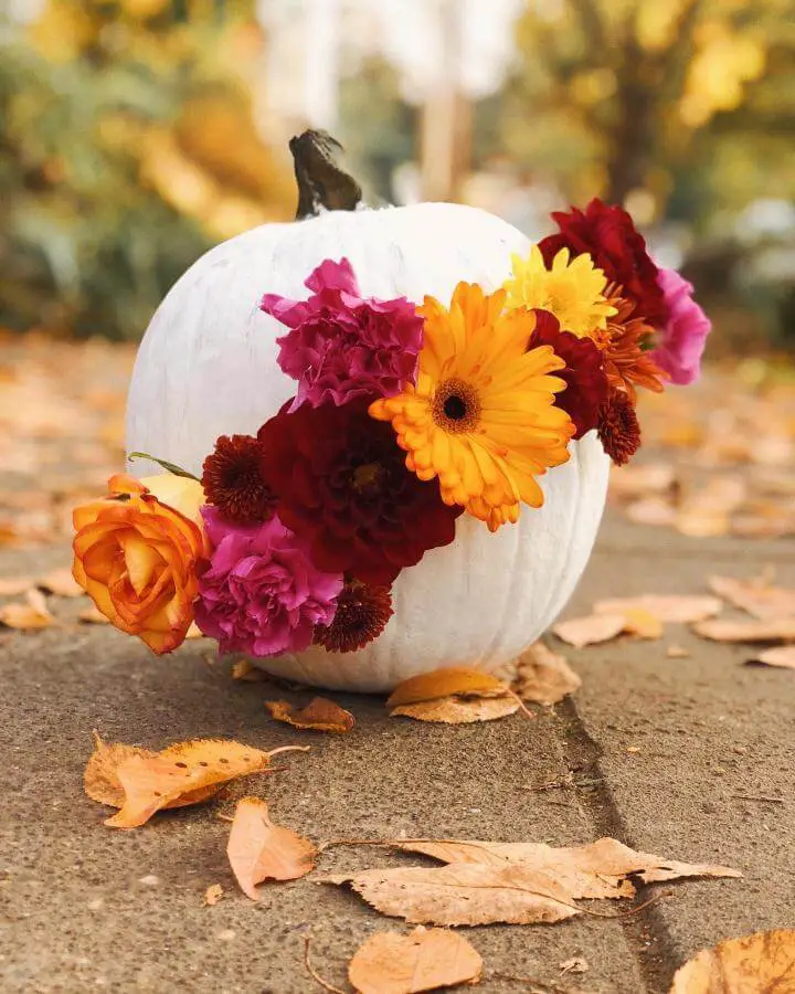 Fresh flower-adorned white pumpkin decoration from @hautehomebody. Features colorful autumn blooms arranged in creative fall display outdoors.