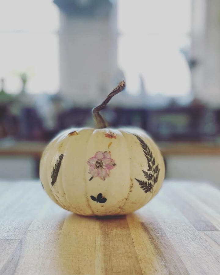 Cream pumpkin with pressed pink flowers and dark ferns from @theunschooledproject. Botanical decoration on wooden surface.