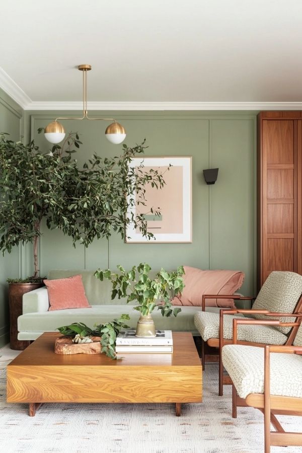 Sage green living room with indoor tree, inspiring sage green living room ideas.