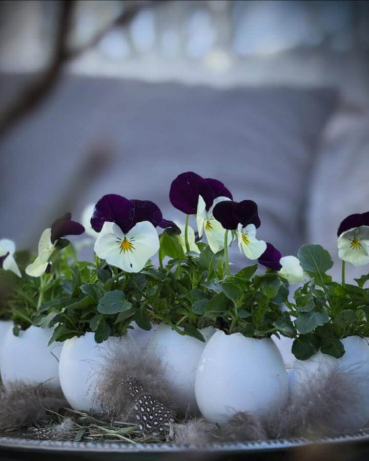 White eggshell planters with purple and white pansies on a plate with feathers from @fru.lily spring crafts for adults.