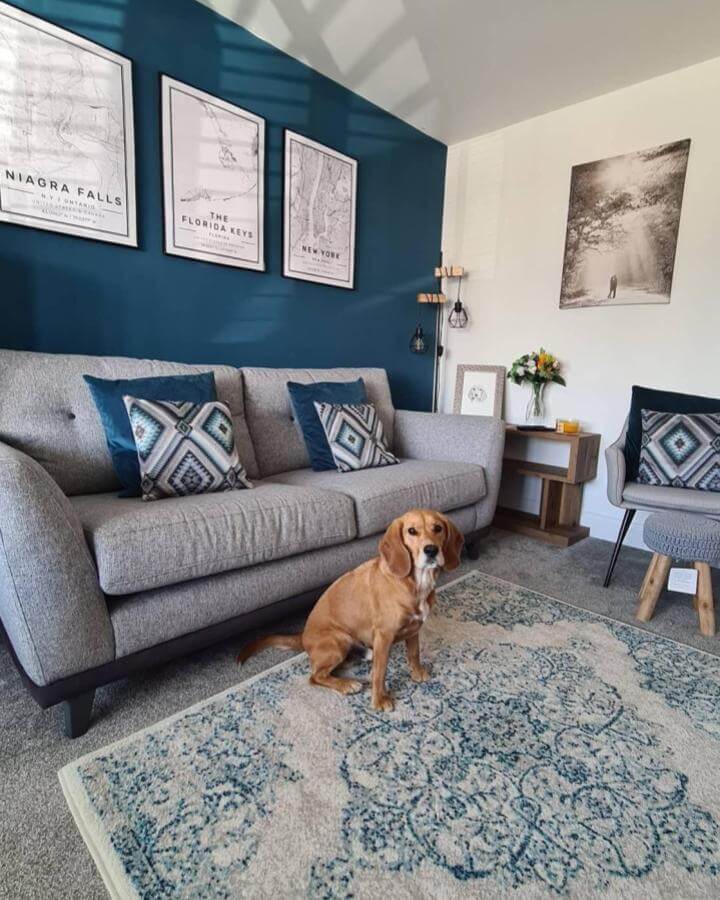Teal accent wall living room from @our.home.and.hound with cozy gray sofa and patterned cushions creating inviting ambiance.