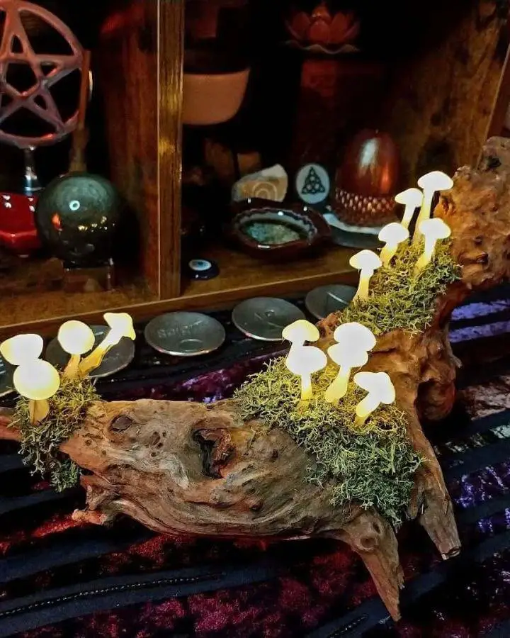 Illuminated mushroom driftwood display from @zodiacstarchild. Glue stick toadstools with fairy lights create mystical forest ambiance.