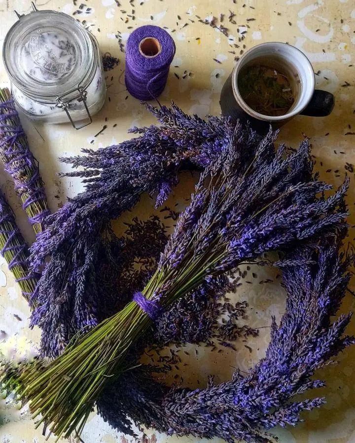 Purple twine and dried lavender bundles from @lucyhpearce. Glass storage jar and herbal tea complete the crafting scene.